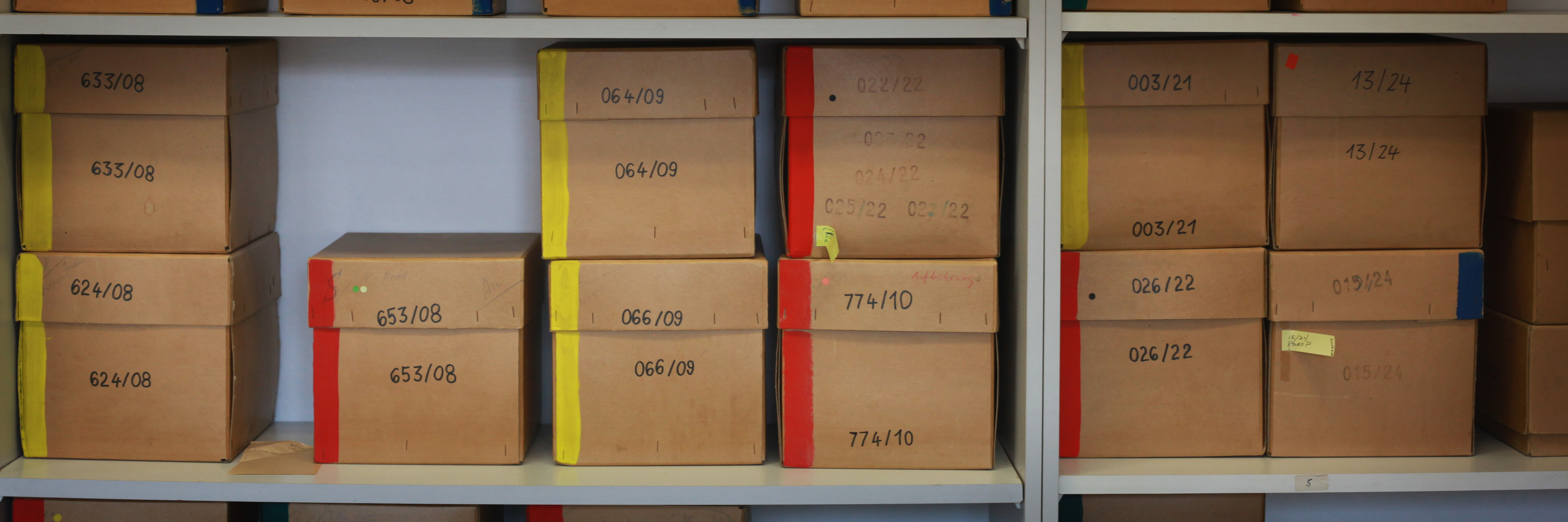 Boxes containing skulls in anthropological collection