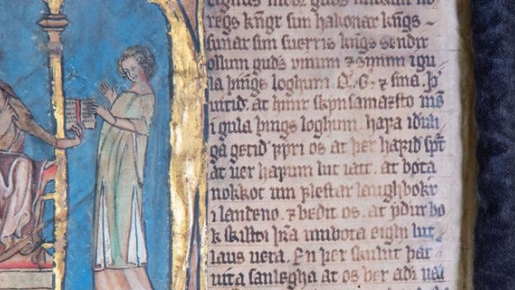 Codex Hardenbergianus Magnus Lagabøtes landslov. / Nasjonalbibilioteket